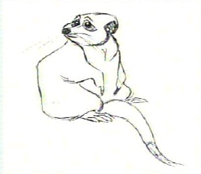 412x358 Tesma The Lion King Wiki Fandom Powered By Wikia