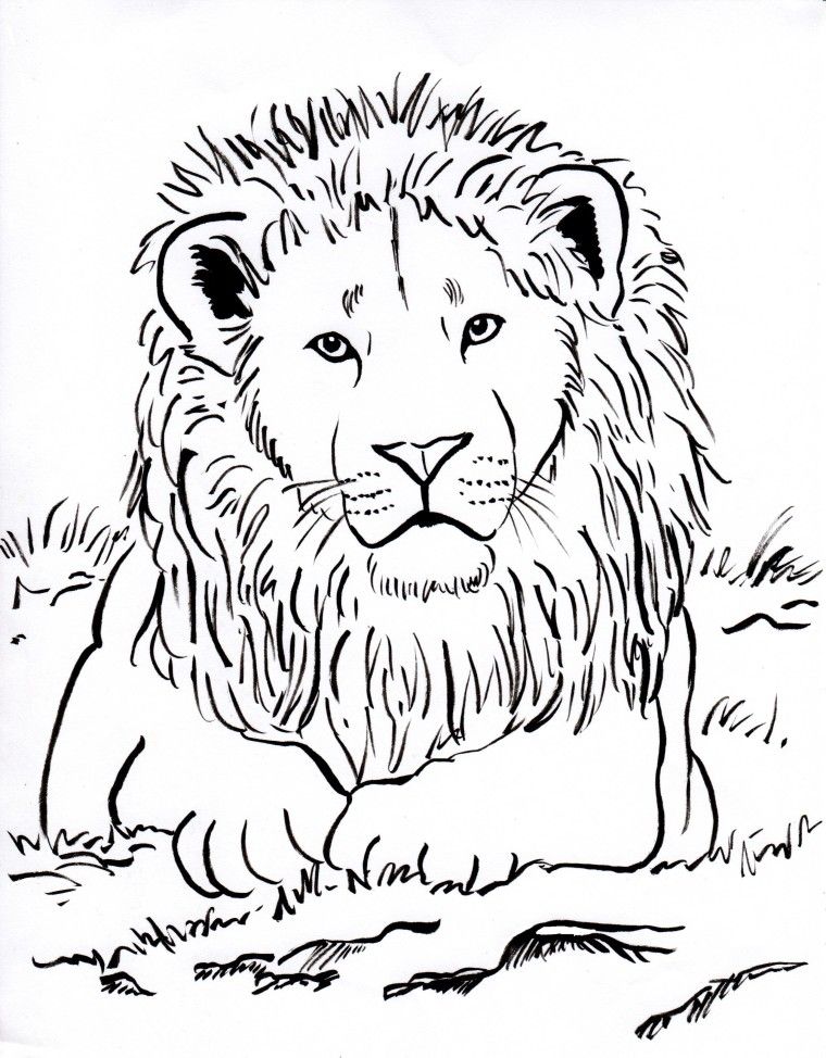 760x974 Week 3 Upside Down Lots Of Animal Coloring Pages Lion Coloring