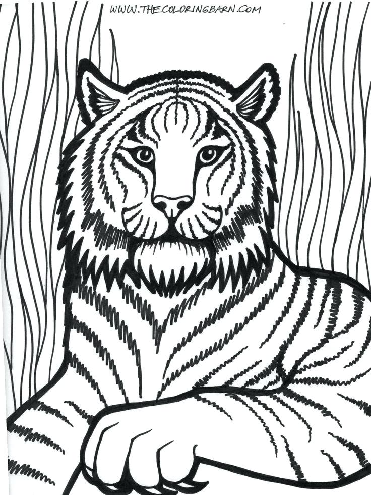 736x981 Coloring Pages Of A Lion Lion Lamb Coloring Page Kids Drawing