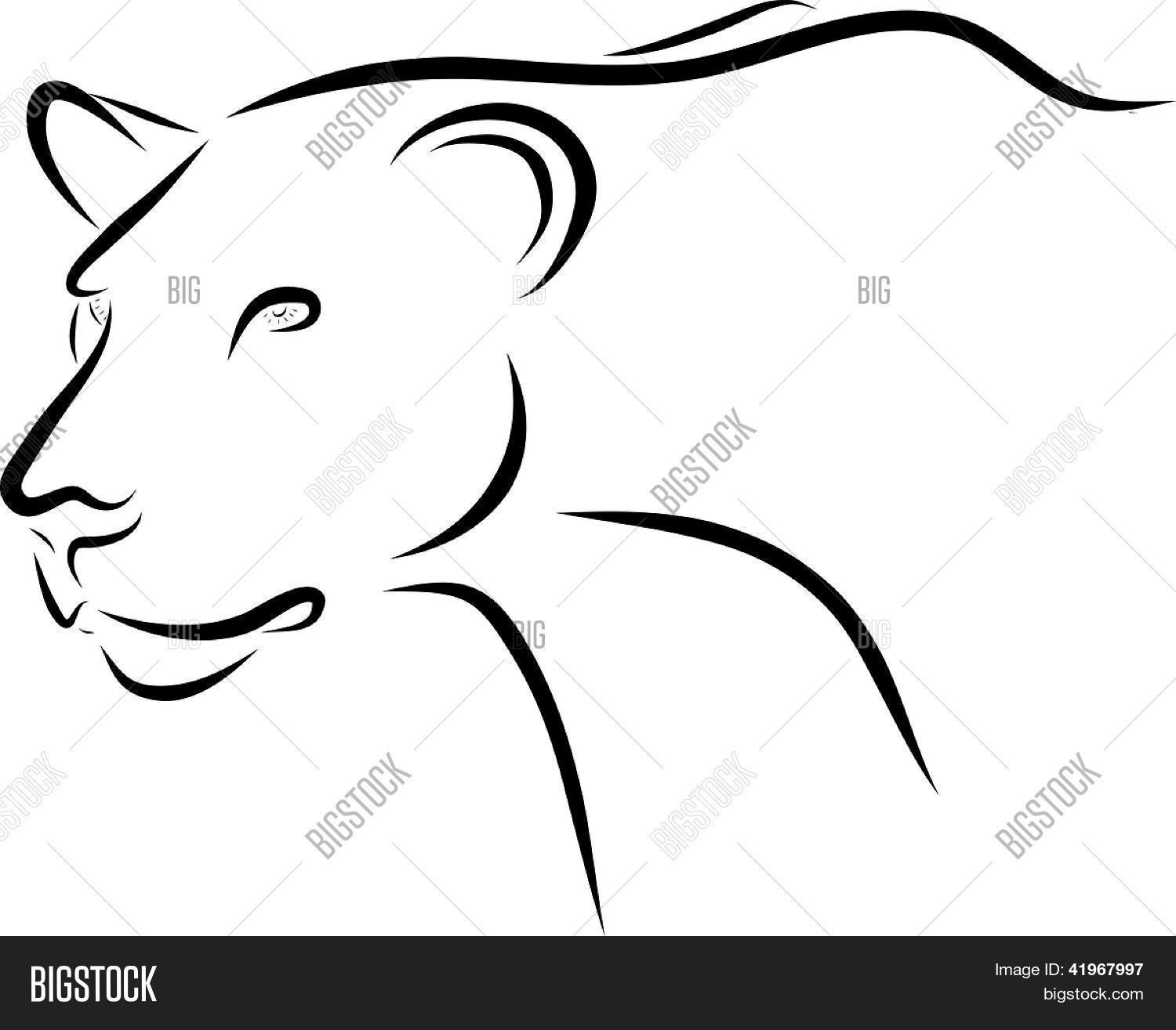 1500x1315 Lion Line Art Illustration Amp Photo Bigstock