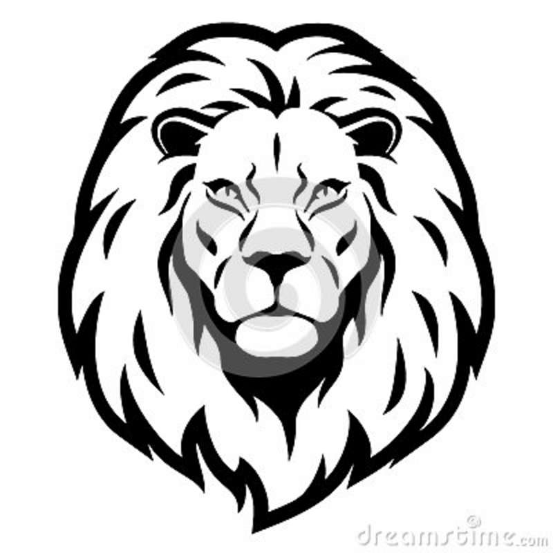 800x800 Dibujo Lions Lions, Tattoo And Tatoos