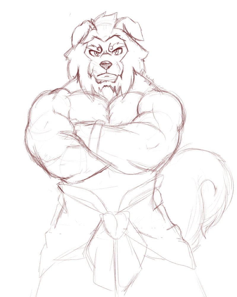 799x1000 Sketch Lion Dog By Nukude