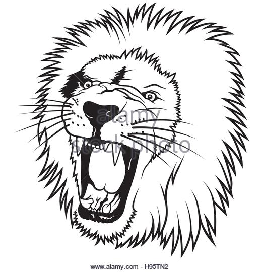520x540 Roaring Lion Stock Vector Images