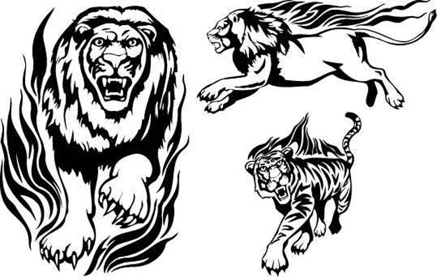 625x397 Tattoos Tiger And Lion Tattoo Stencils