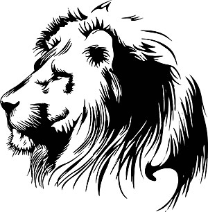 300x306 Hand Drawn Lion Head Vector Graphic Free Vectors Ui Download
