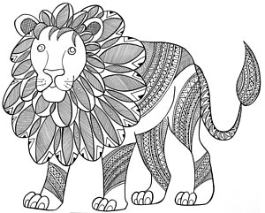 300x241 Lion Drawings