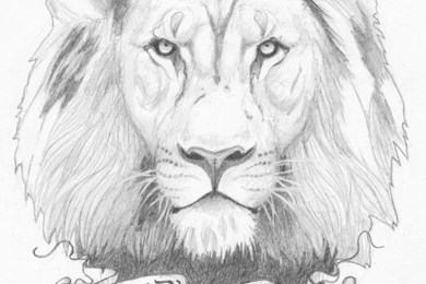 390x260 Lion Of Judah Wallpapers Wallpapers