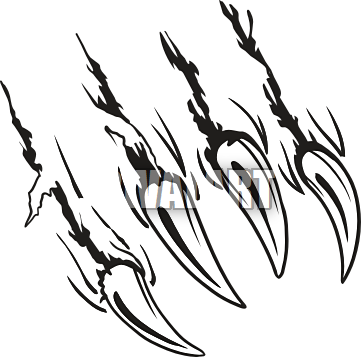 361x357 Lion Claw Scratch Clipart