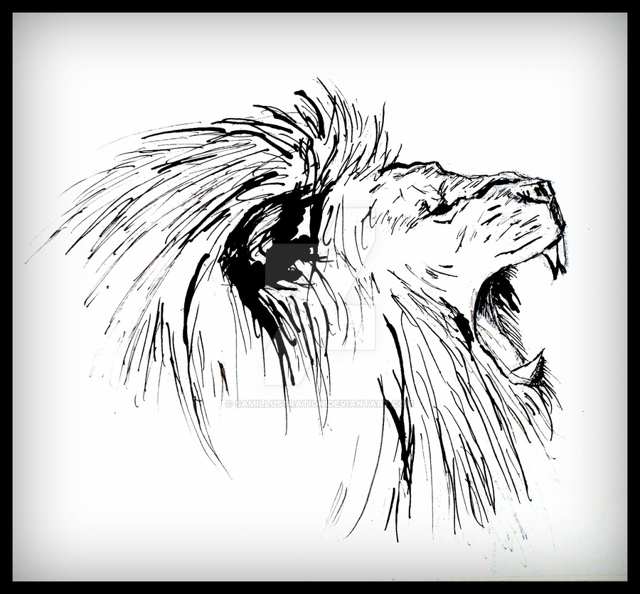 900x835 Lion Roar By Samillustration