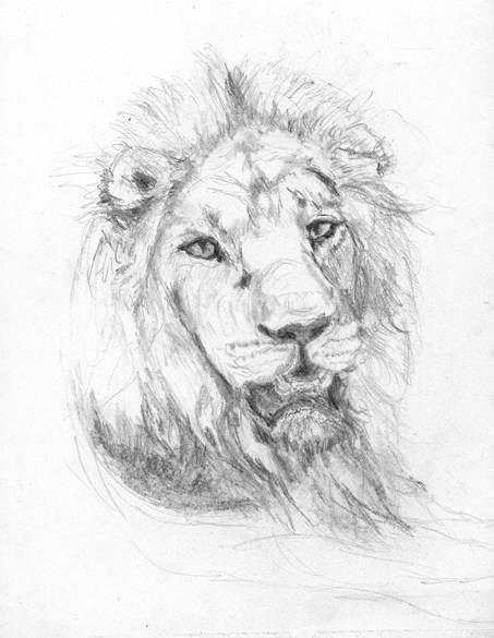 453x585 Drawings David E. Mynott Ii