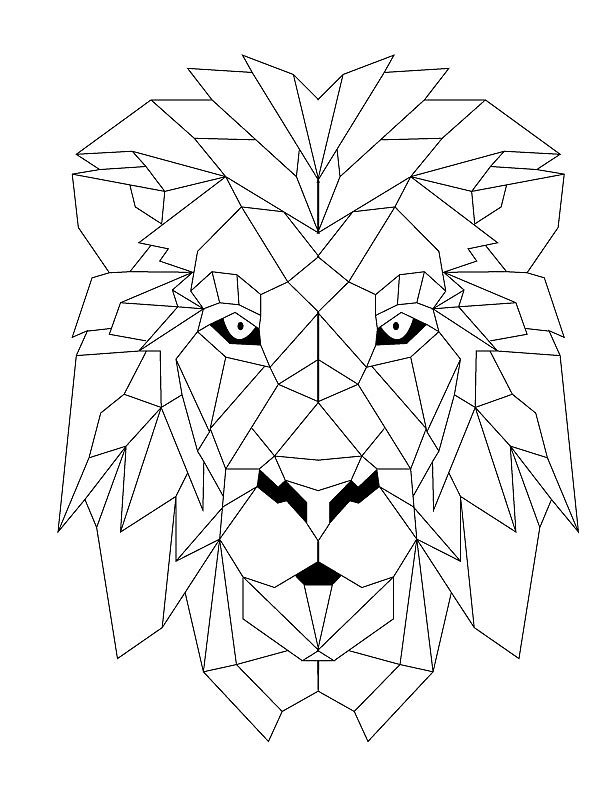 612x792 Geometric Lion By Loganteresa Redbubble
