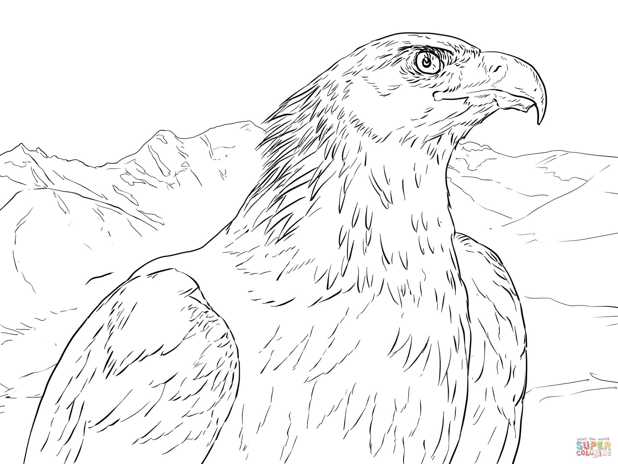 2048x1536 Golden Eagle Portrait Coloring Page Free Printable Coloring Pages
