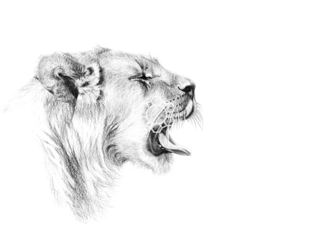 1024x750 Artists Archives