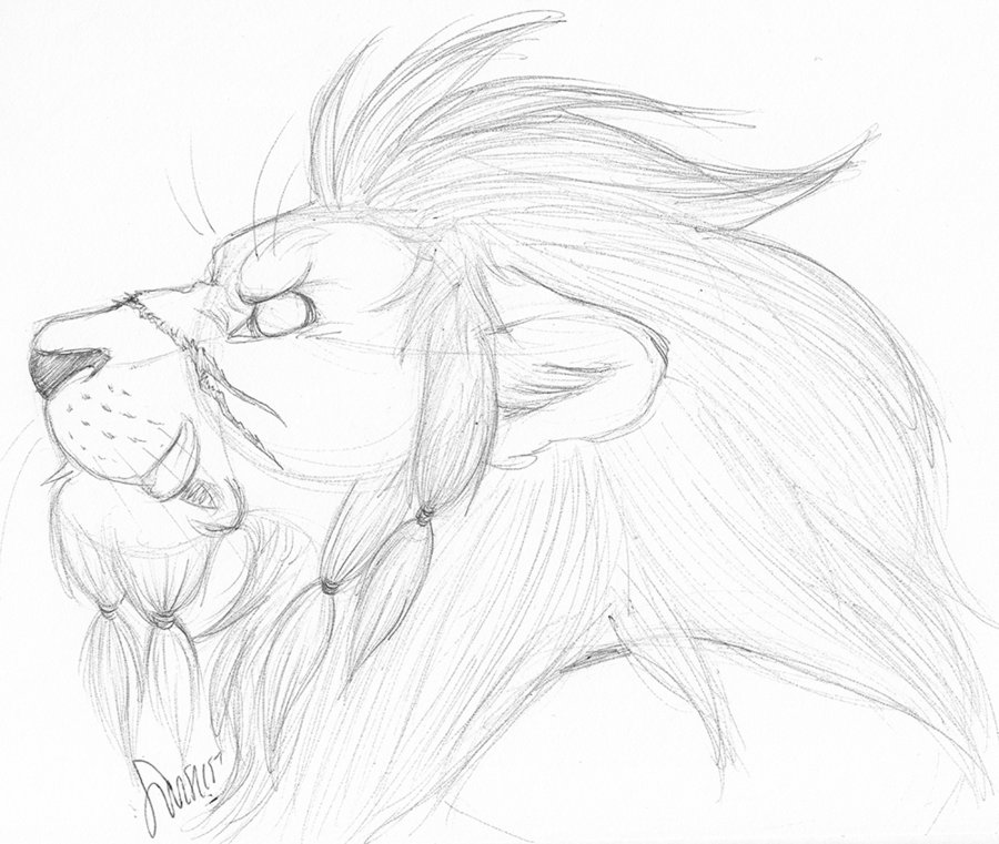 900x761 Lion Pride By Werewolfsense