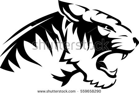 450x309 Drawn White Tiger Side Profile