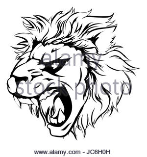 300x320 Lion Head Icon Cartoon Stock Vector Art Amp Illustration, Vector