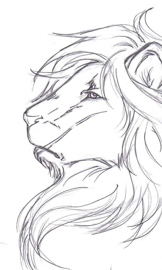 555x923 Lion Profile By Queran