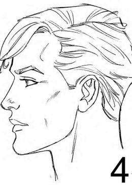 260x364 Male Lion Profile Drawing