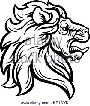 300x351 Sketch Of Lion Head With Mane. Lion Tattoo King. Vector