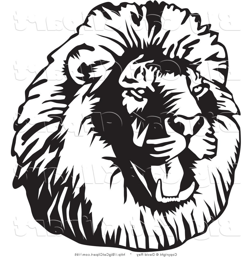 1024x1044 Best 15 Sketch Clipart Lion Profile Photos