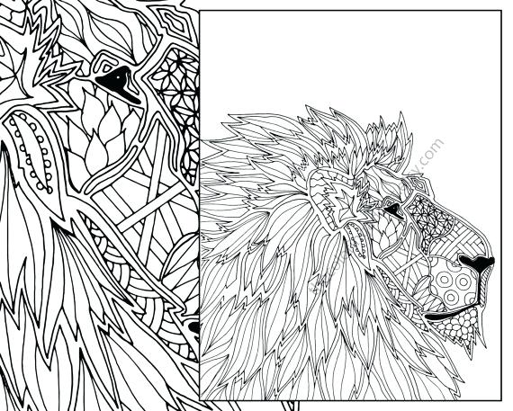 570x457 Interesting Ideas Lion Coloring Pages For Adults Realistic New