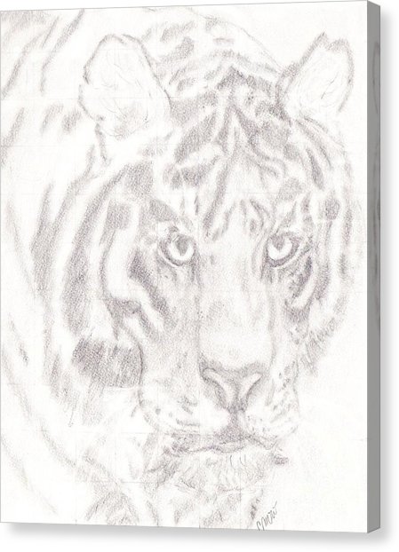 449x622 Realistic Cat Drawing Art