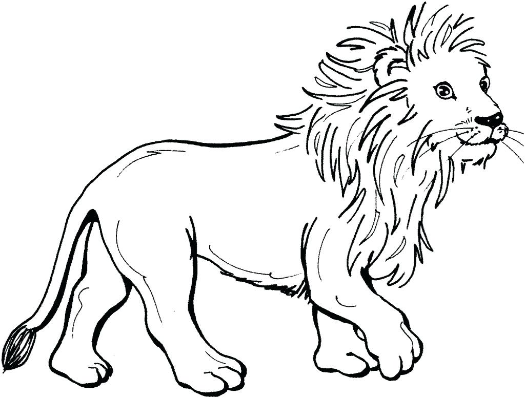 1024x777 Coloring Realistic Lion Coloring Pages
