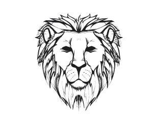 300x236 Drawings Of Lions