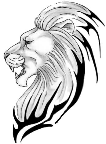 347x471 New Roaring Lion Images Free Lion Head Drawings Clipart Best