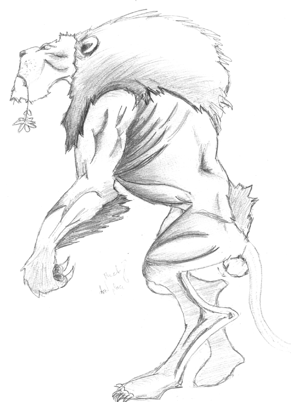 600x828 Lion Drawing Practice By Ramseslg