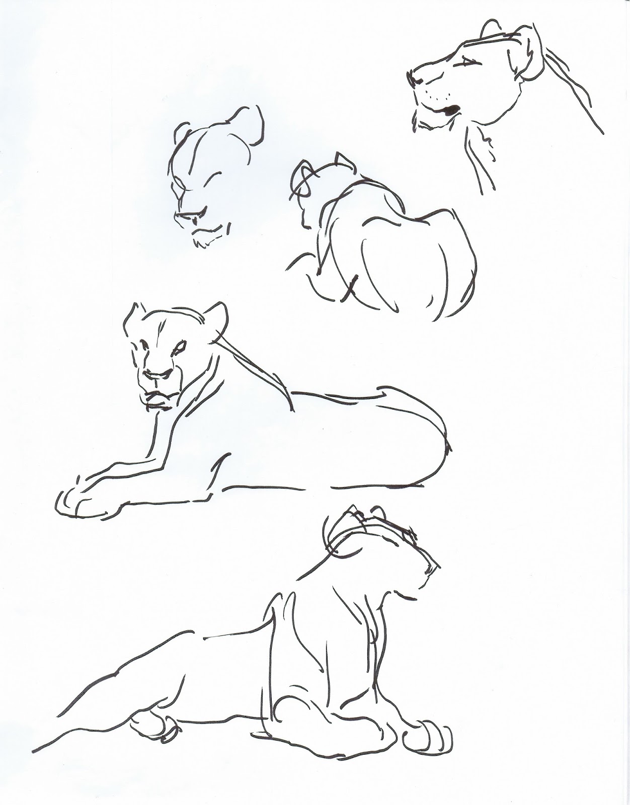 1252x1600 How To Draw A Lion