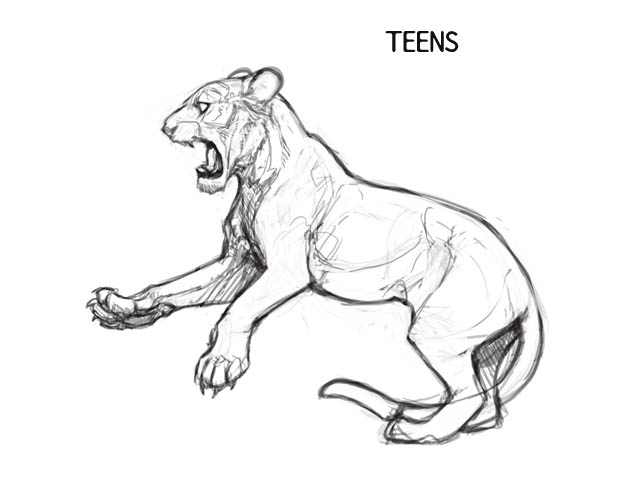 640x480 Tigon Sketches Lioden