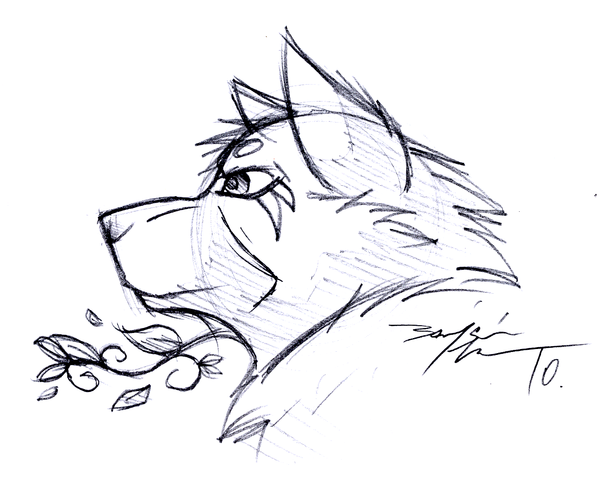 600x483 Wolf Head Sketch 3 By Wolf Lion