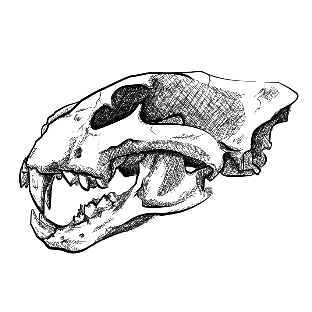 1024x1024 Lion Skull Project Wip By Yusufu