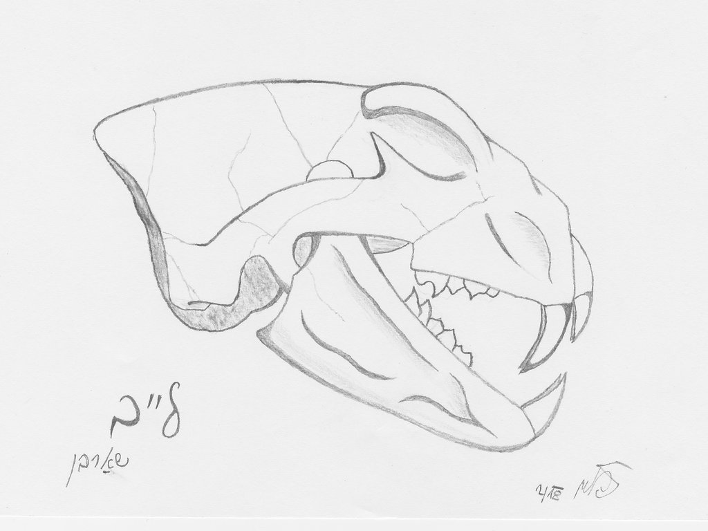 1024x768 Mahiracz (Matt)