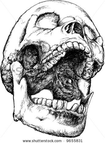 344x470 Screaming Skull Illustration Tattoo, Skull