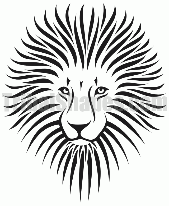 640x779 Lion Tattoos, Designs And Ideas Page 124