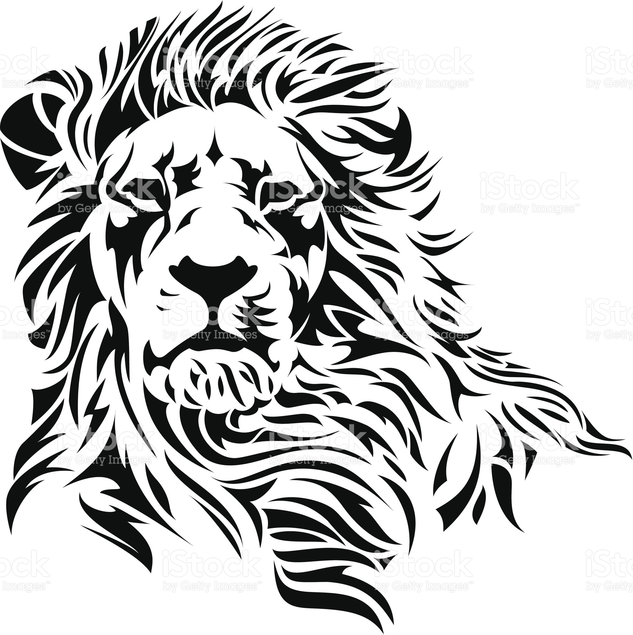 2040x2048 A Lion Head In Black And White. Lions