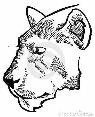 Lion With Dreads Drawing