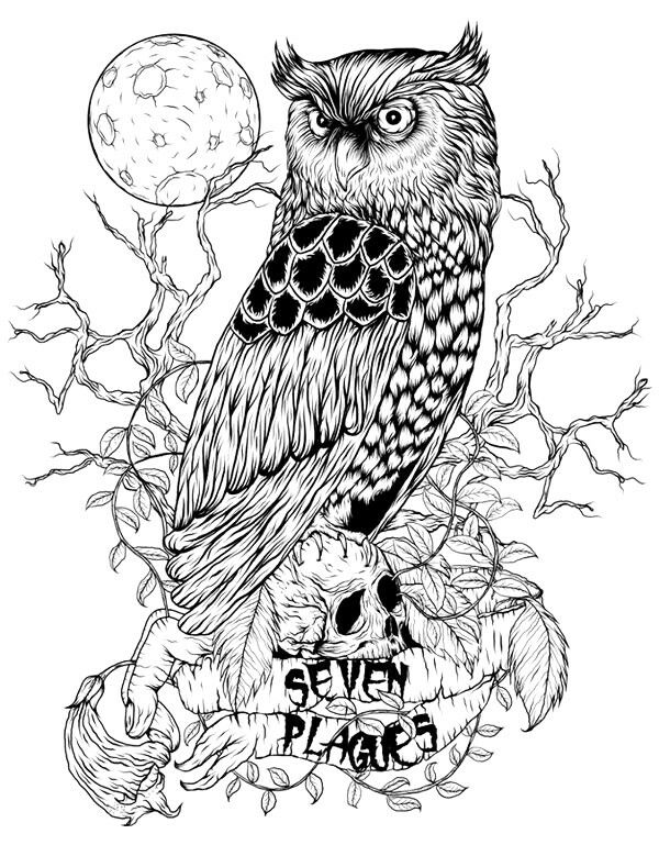 600x769 22 Best Lion Images On Lion, Lion Art And Lions