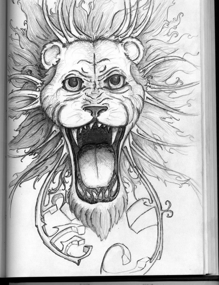736x956 25 Best Rasta Lion Tattoo Drawings Images On Tattoo