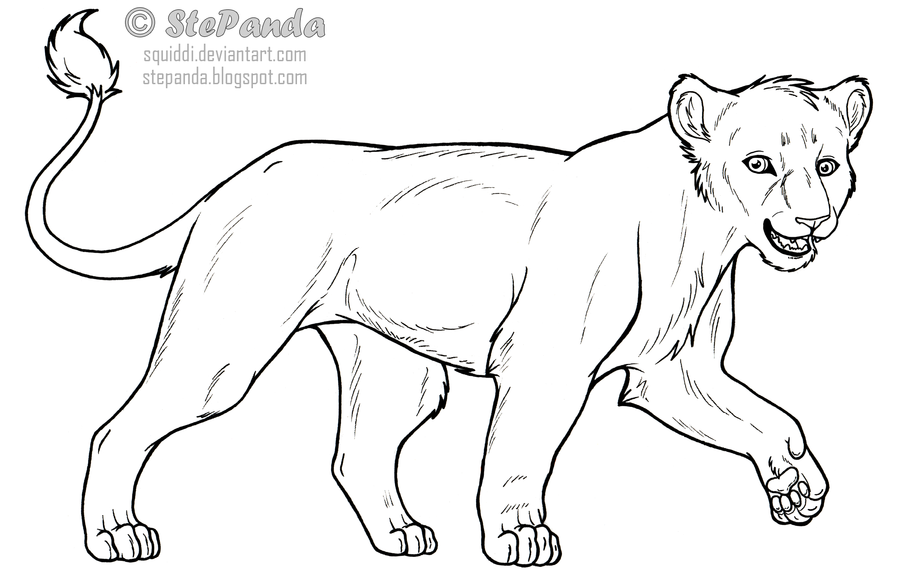 900x583 Free Lineart Adult Lioness By Stepandy