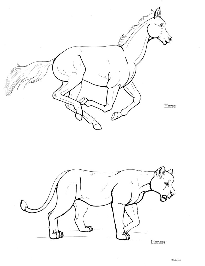 786x1017 Horse And Lioness Side View Lines Reference By Auronyth
