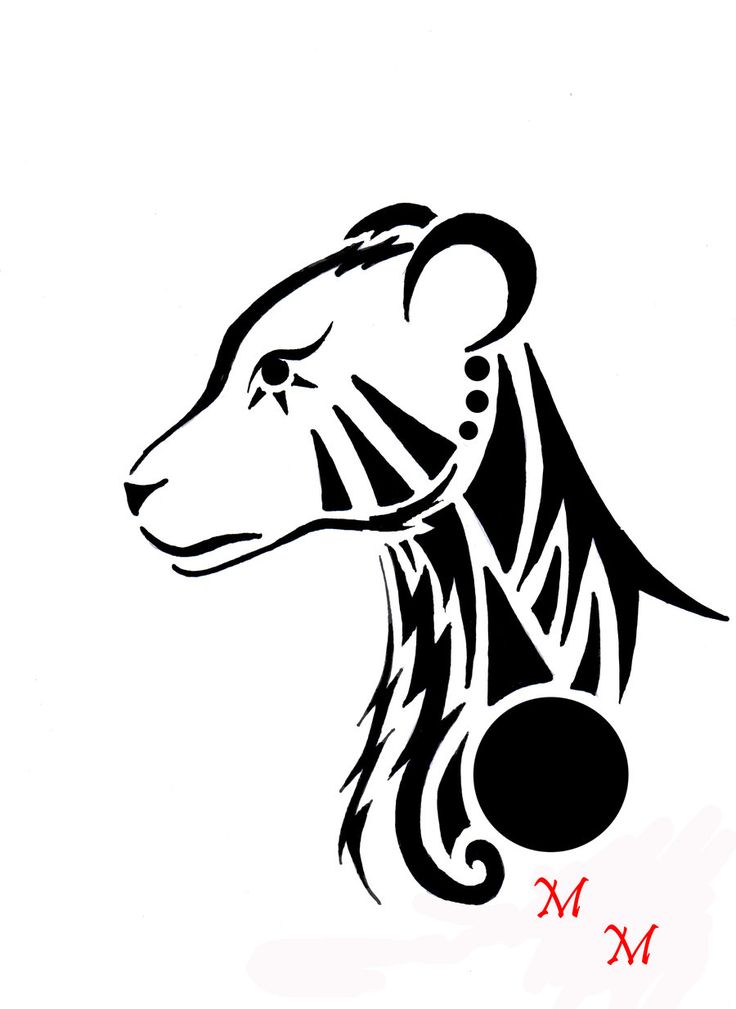 736x1009 27 Best Lion And Lioness Tattoo Outline Images