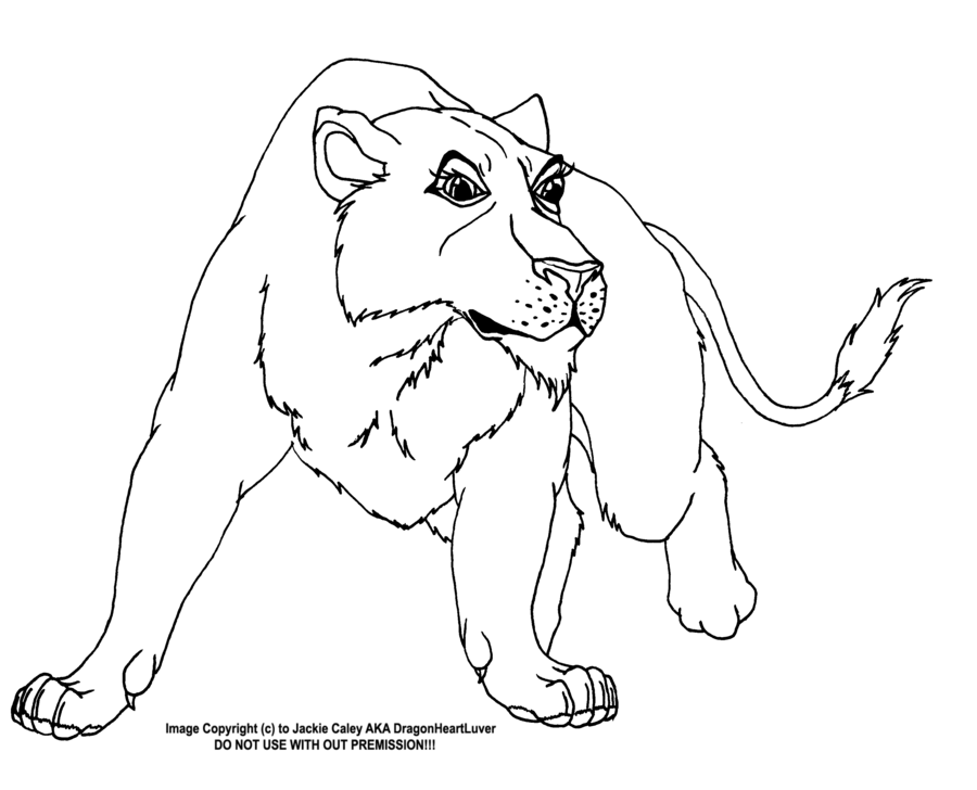 Lioness Head Drawing at GetDrawings | Free download