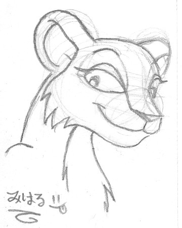 360x452 Sketchy Lioness By Miharuwatanabe