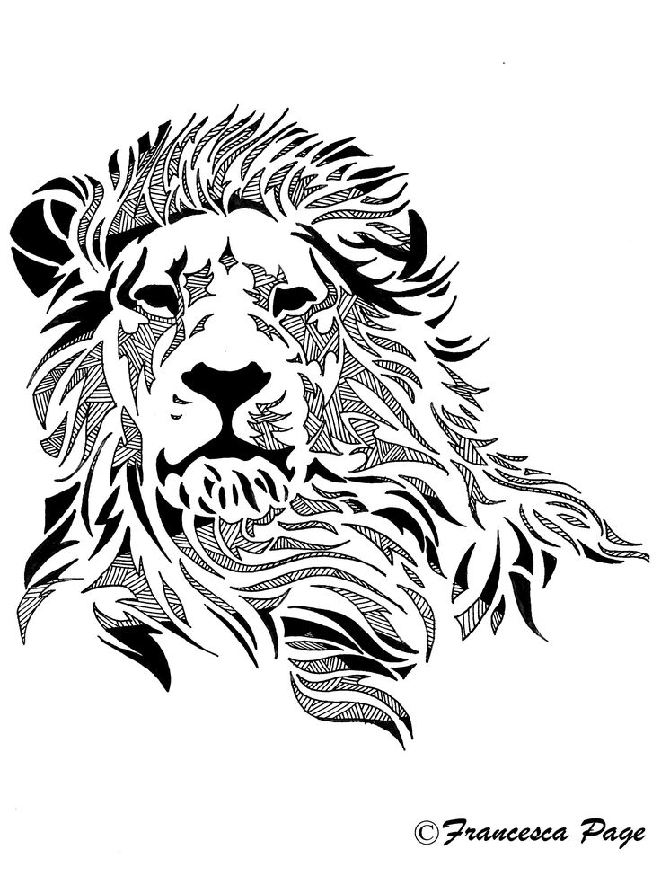 736x975 Drawn Idea Lion Head