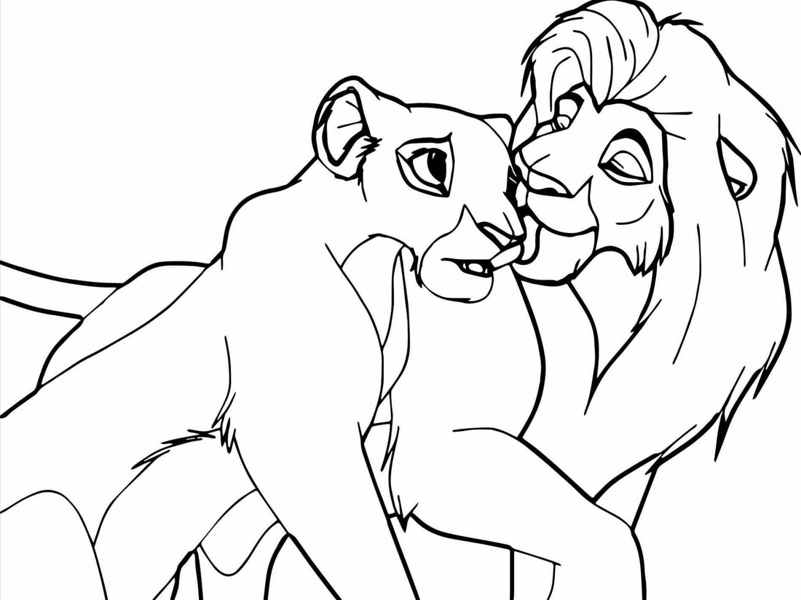 1600x1200 Coloring Pages Animals Asian Lions And Other To Print Lion Page