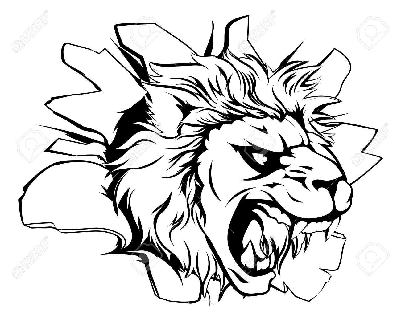 1300x1042 Lion Face Drawing