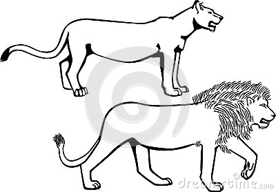400x278 Drawn Lion Female Lion